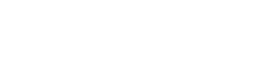 Opus Solutions
